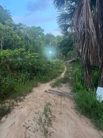 $1,350 / 5br - 10000ft2 - American Expat Community in the Amazon (Redding)64151586585602120