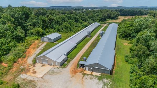 $1,349,900 4041 Otter Gap Road (Bowling Green)63846718792961124
