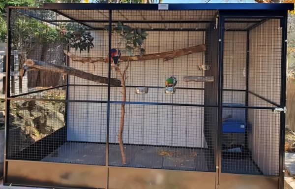 I will take Unwanted Birds 1