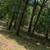 Land in Rye Tx. 9 thumbnail