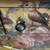 Cottagecore Vintage Wood Dresser 4 thumbnail
