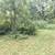 23 acre paradise for sale 20 thumbnail