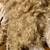 Raw Angora Goat Mohair 10 thumbnail