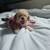 Rehoming puppy 8 thumbnail