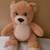 15" Limited Edition Lil Honey Cub Build A Bear Plush 2017 1 thumbnail