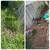 Gardening Service 8 thumbnail