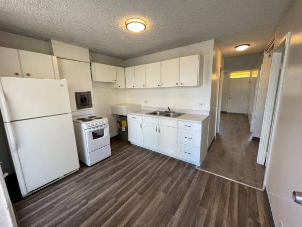 Spacious Bedrooms & Plank Flooring at Dynasty Terrace! ✨ 1