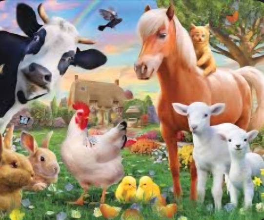Are you looking to rehome an animal? 1