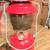 COLEMAN 200A195 Single Mantle Red Lantern & Gallon of fuel 13 thumbnail