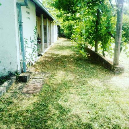 $200 / 3br - 1600ft2 - AN OLDER HOME AND 800M2 CONSTRUCTION LOT 30 MIN.FROM SEA (CAPLJINA)64301558350850121