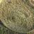Tons of 4x5 Round Bales Forsale 6 thumbnail
