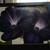 Black and Purple Petunias Georgia O'Keeffe recreation (black framed) 2 thumbnail