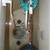 PLOMERO PLUMBING WATER HEATERS OFREZCO SOLUCIONES 4 thumbnail