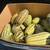Locally grown delicata squash 2 thumbnail