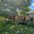 Tree service 8 thumbnail