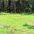 TABLEROCK LAKEFRONT LOT 75 X 115 FOOT 3 thumbnail