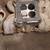 Edelbrock Intake Manifold 5001 11 thumbnail
