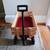 Radio Flyer kids mini wagon 2 thumbnail