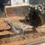 reptile rhino iguanas dragon 3 thumbnail