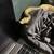 Ball Python 4 thumbnail