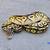 Rehoming Ball Pythons 9 thumbnail