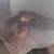 Corn snakes 12 thumbnail