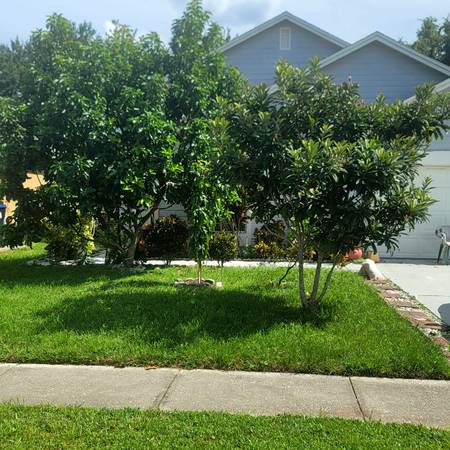 1 4 bedroom 2 bathroom located in south chase 1