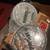 Yamaha/Remo PS Custom Bass Drum Head 3 thumbnail