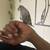Parakeets 1 thumbnail