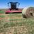 Beardless Wheat Hay rounds -- $100/bale 8 thumbnail