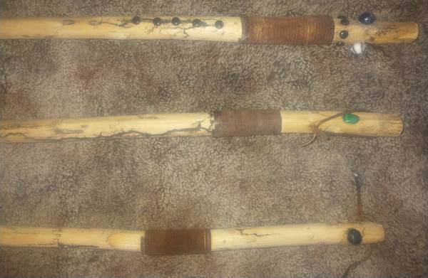 Walking sticks 1