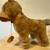 Classic Herman Pecker Plush Animal 3 thumbnail