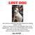 Lost dog 1 thumbnail