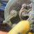 Fishing Rods and Reels - Penn Reels - SEE DETAILS 8 thumbnail