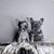 Bulldog Frances hembras 1 thumbnail