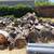 Bulk Fire wood for sale 2 thumbnail