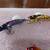 Five (5) Pee Wee Sinkers  L-#57 2 thumbnail