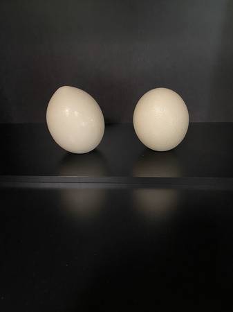 Ostrich Eggs 1