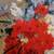 Charming flower painting 4 thumbnail