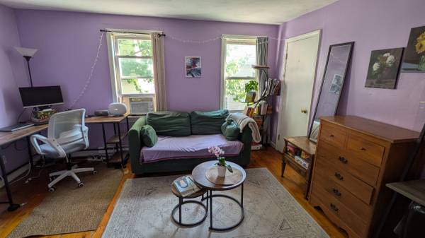 Sunny 1 Bedroom (+) Summer Sublet with Option for 12 Month Extension! 1