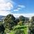 KEYLESS BUILDING & UNIT ENTRY, BBQ & Fire Pits, EV Parking 3 thumbnail