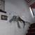 drywall/ painters/ repair,&install/ flooring 14 thumbnail