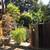 Aug. 1st. $1950 GARDEN COTTAGE FURNISHED,UTILITIES INCL.GONZALES / OAK 8 thumbnail