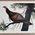 John A Ruthven Eastern Wild Turkey Signed 18x24 LE 956/1000 Art Print 5 thumbnail