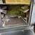 fisher bear b size collection collectable woodstove stove w 7 thumbnail