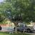Tree service 10 thumbnail