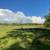 10.02 Acres for Sale 4 thumbnail
