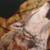 Pet portraits 9 thumbnail
