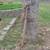 D.B.Smith & Co. Water barrel / trough transfer hand pump 11 thumbnail