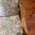 Set of 4 Floral Upholstered Arm Chairs 6 thumbnail